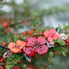 Náhrdelníky z vinutek